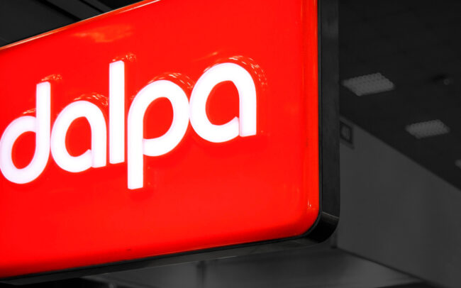 Dalpa — Brand Identity & Visual Design